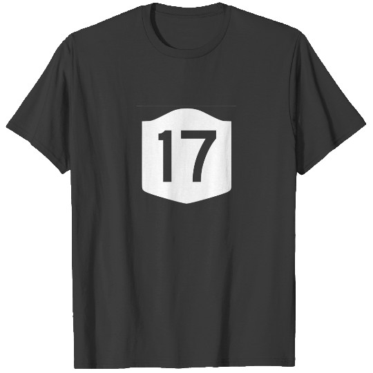 Discover State Route 17, New York, USA T-shirt