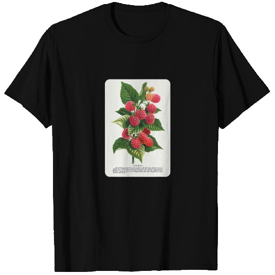 Vintage Cuthbert Raspberry Botanical Speci T-shirt