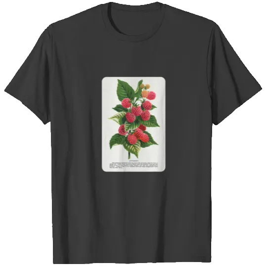 Vintage Cuthbert Raspberry Botanical Speci T-shirt