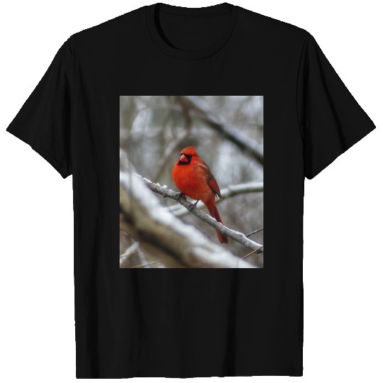 Male Cardinal T-shirt