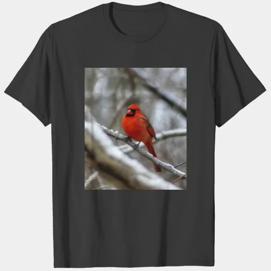 Male Cardinal T-shirt