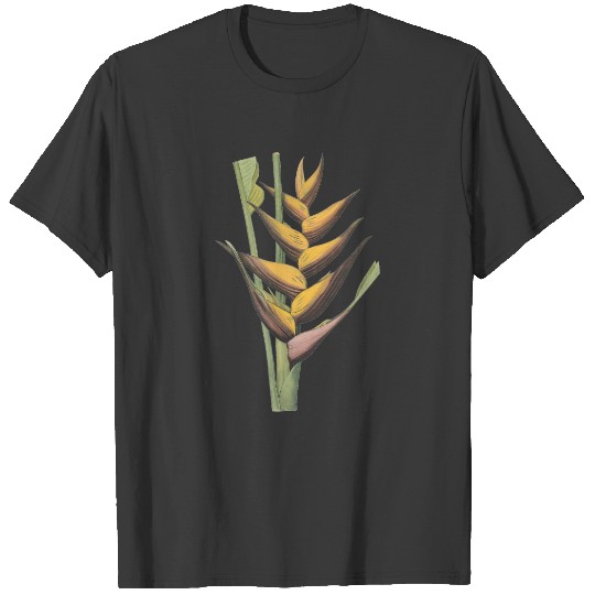 lobster claw(Heliconia humilis) by Redouté T-shirt