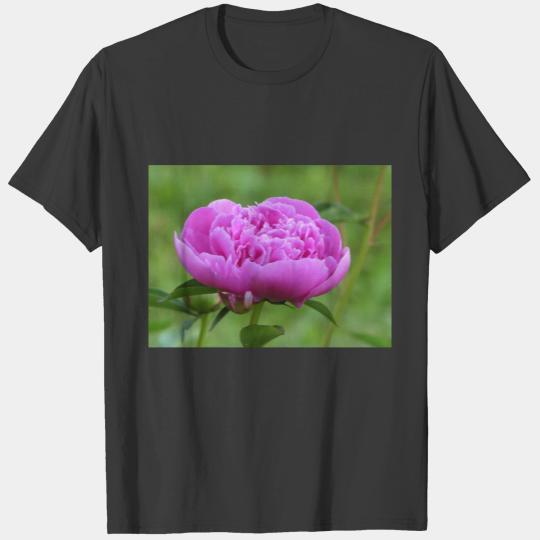 Pink Peony Polo T-shirt
