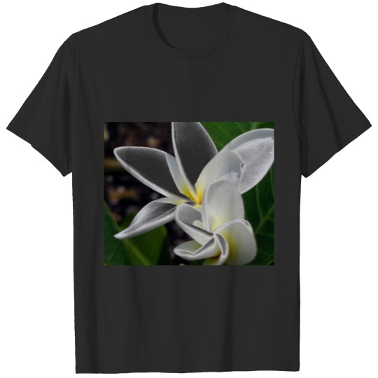 Discover Plumeria Pair T-shirt