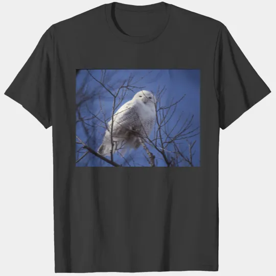 Snowy Owl - White Bird against a Sapphire Blue Sky T-shirt