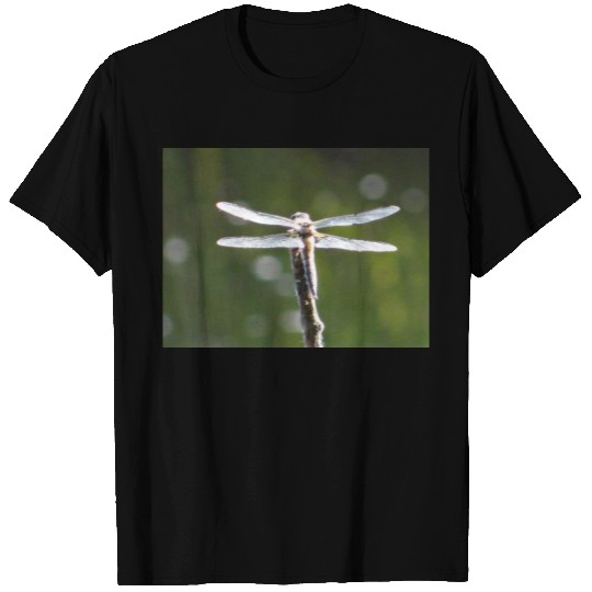 Light grey dragonfly T-shirt