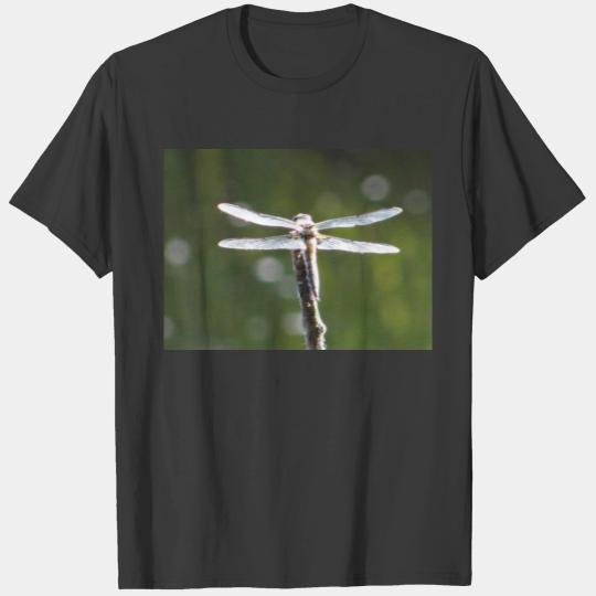 Light grey dragonfly T-shirt
