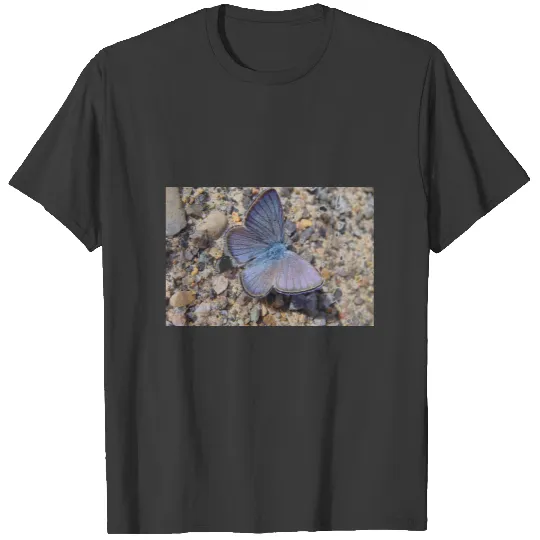 Light blue butterfly T-shirt