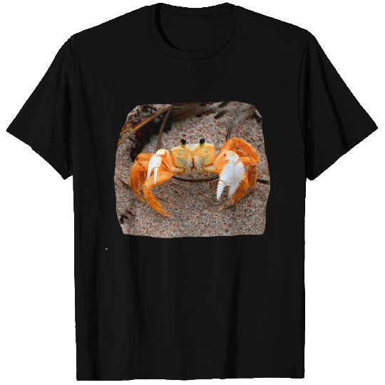 Fiddler crab on beach colorized orange on sand T-shirt