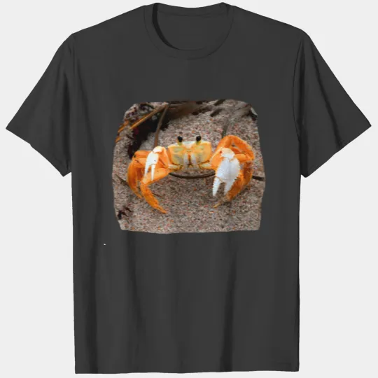 Fiddler crab on beach colorized orange on sand T-shirt