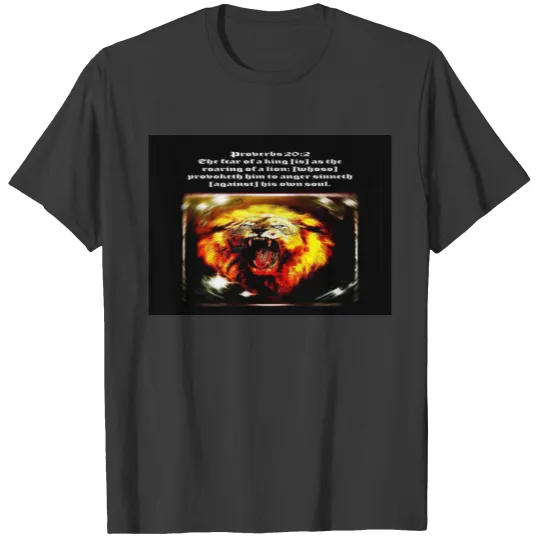 Scripture Pictures 11-03 Sleeveless T-shirt