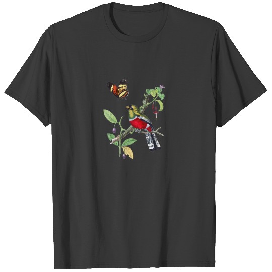 Vintage Crimson Rosella Bird Illustration Animal L T-shirt