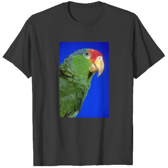 Green Cheeked Amazon Parrot T-shirt
