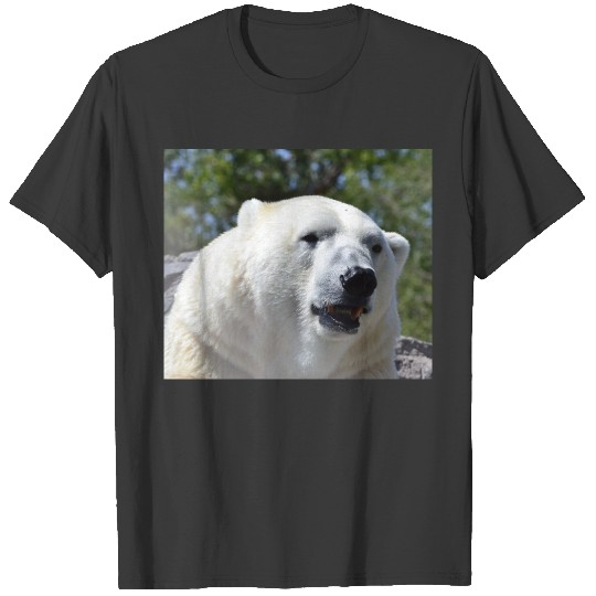 Discover Polar Bear  for Kids T-shirt
