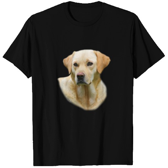 Yellow Lab Worn On Hangover 2 Movie T-shirt