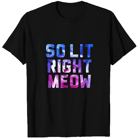 black cats Paws So Lit Right Meow Funny Cat EDM Festival Meme T-Shirts