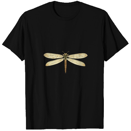 Cute dragonfly wings antique dragonfly illustration 4 T-Shirts