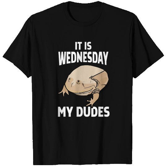 It Is Wednesday My Dudes 1 T-Shirts