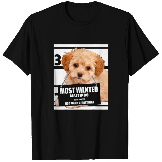 Poodles mosts Wanted Maltipoo Maltese Miniature Poodle dog Poodle dog T-Shirts