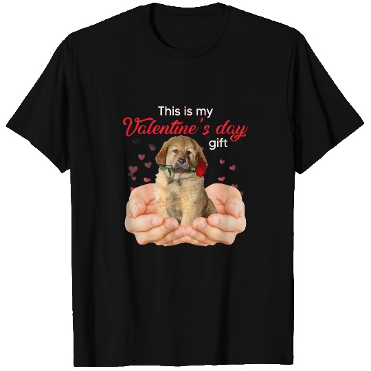 Cute Tibetan Mastiff This Is My Valentines Day Pajama T-Shirts