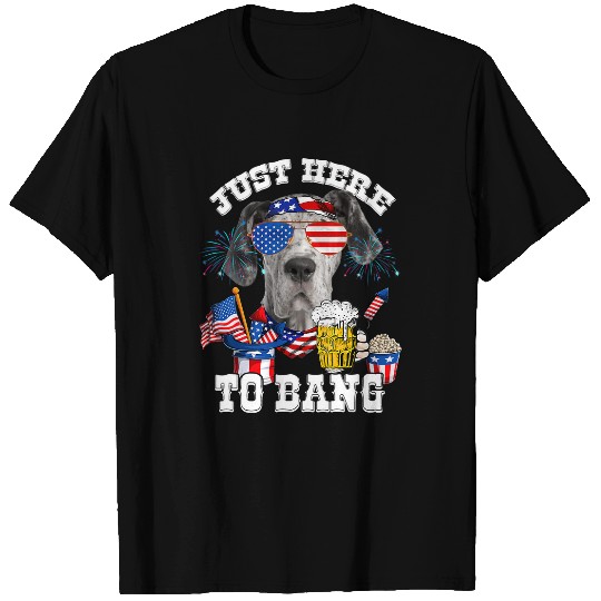 Great Dane Pet Beer Just Here To Bang Great Dane Dog Beer Funny 4th Of July T-Shirts