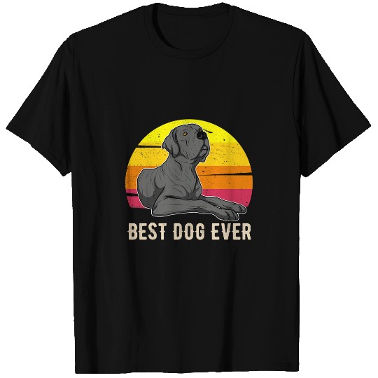 Great Dane Pet German Mastiff Great Dane Sunset 29 3 T-Shirts