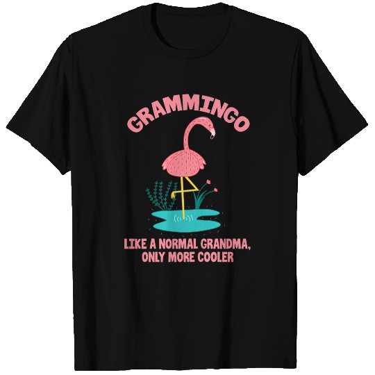 Flamingo Pet Womens Grammingo Grandma Flamingo Funny Pink Bird Mothers Day T-Shirts