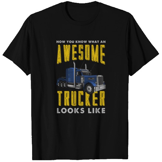 Truck Fun Awesome SemiTrailer Truck Driver Big Rig Trucker T-Shirts