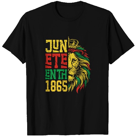 Lion Pet Celebrate Juneteenth Lion African American Freedom Day 1865 3 T-Shirts