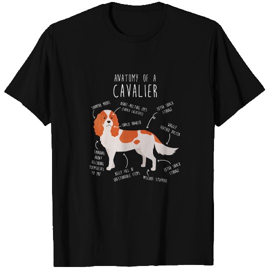 Blenheim Cavalier King Charles Spaniel Dog Mom Funny Anatomy 1 T-Shirts