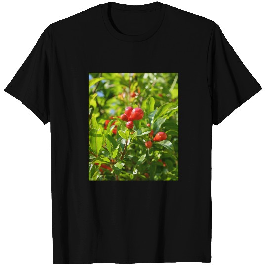 Pomegranate Closed Red Flower Bud Photography T-Shirts
