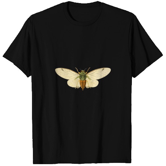 Cicada invasion Entomologist vintages Biologist Bug Insects T-Shirts