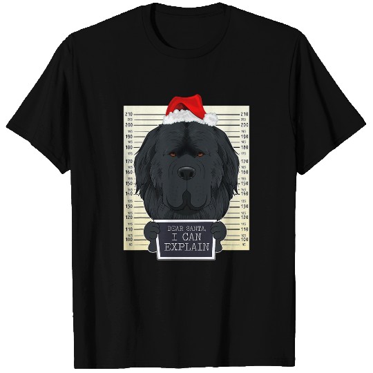 Dear Santa I Can Explain Funny Christmas Newfoundland T-Shirts