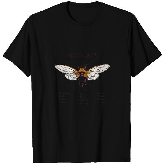 Parts of Cicada Insect Bug Definition Educational Art T-Shirts