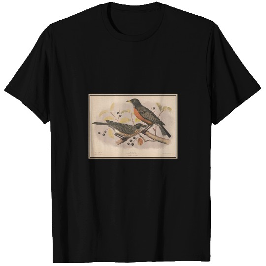 vintages American Robin Bird Illustration 1874 T-Shirts