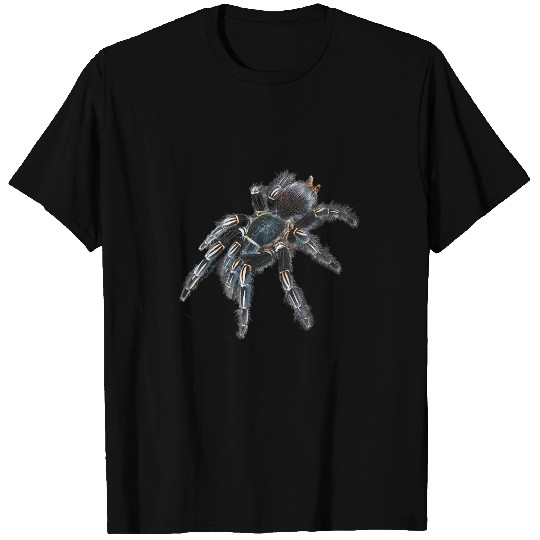 Zebra Tarantula Spider T-Shirts