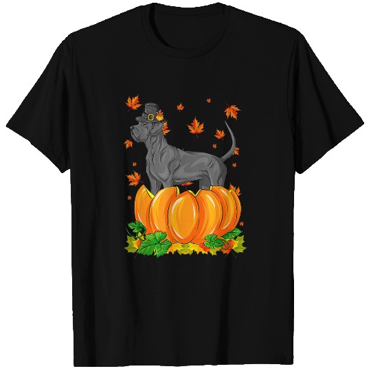 Dog Great Dane Happy Thanksgiving Dog Pumpkin Fall Autumn T-Shirt T-Shirts