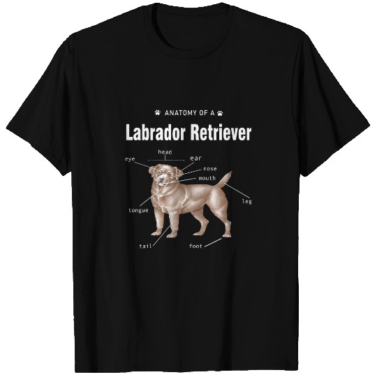 Labrador Lab Dog Funny Anatomy Labrador Retriever Dog Lover T-Shirts