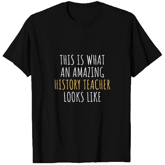 HISTORY TEACHER Funny Job Title Profession Worker Idea T-Shirts