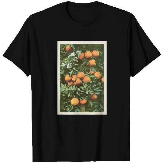 Orange Tree vintages Photograph T-Shirts