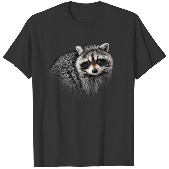 A Gentle Raccoon T-shirt