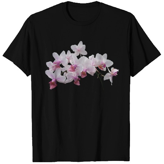 Phalaenopsis Orchids Twilight Rainbow T Shirts