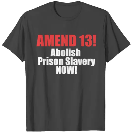 Amend 13 Fitted T Shirts