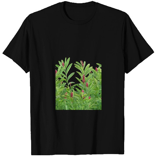Tropical Floral Print T Shirts