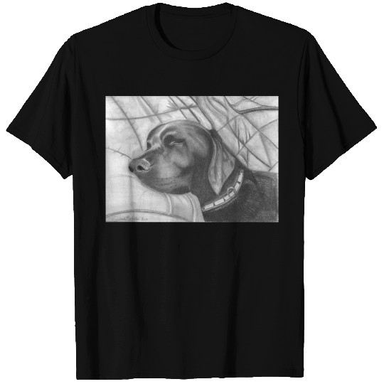 Riley the Chocolate Lab T Shirts