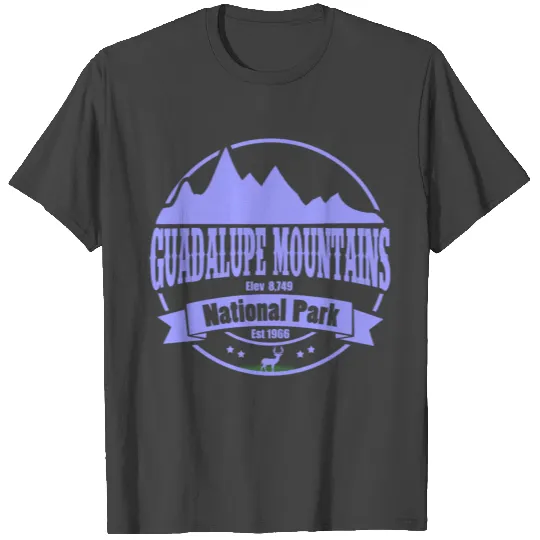 GUADALUPE 1C.png T Shirts