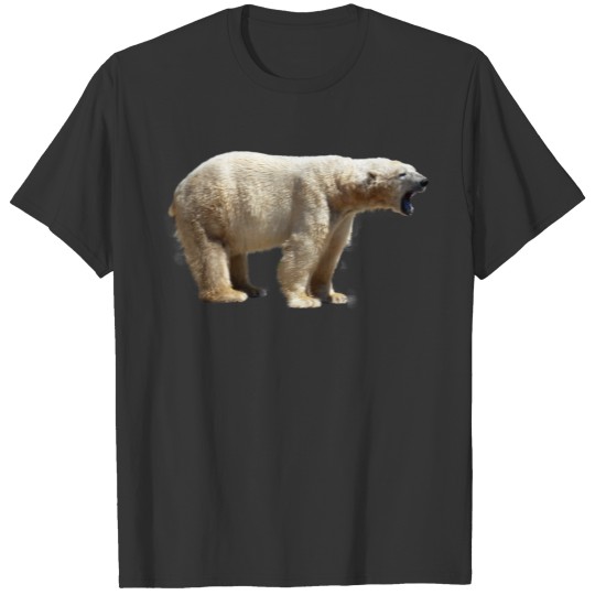 polar bear eisbaer nordpol north pole alaska11 T Shirts