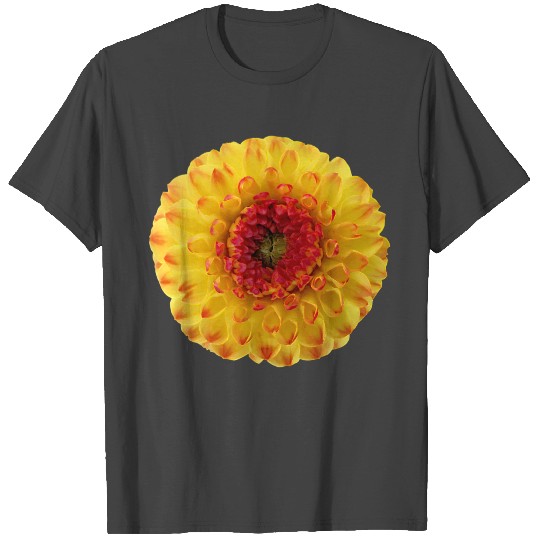 flowers lilies tulips orchids sunflower dahlia ger T Shirts