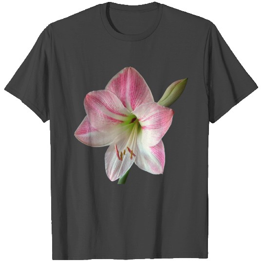 flowers lilies tulips orchids sunflower dahlia ger T Shirts
