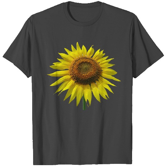 flowers lilies tulips orchids sunflower dahlia ger T Shirts